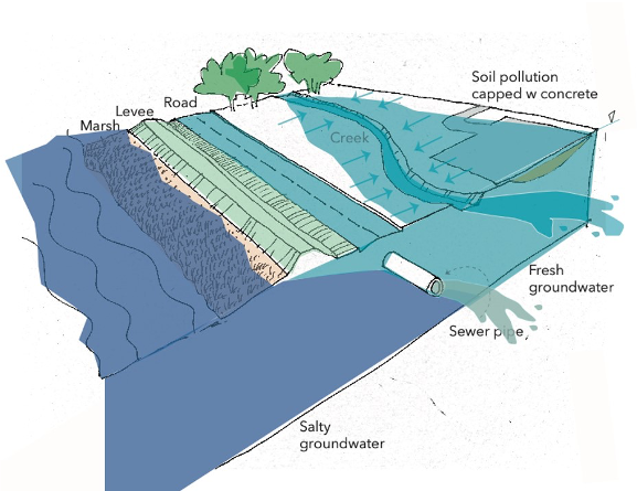 shallow-groundwater-rise-adapting-to-rising-tides