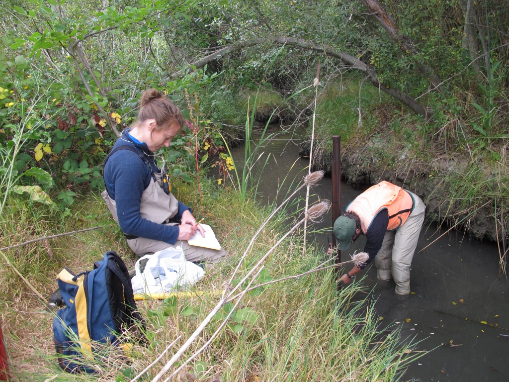 Tidal Creeks and Flood Control Channels « Adapting to Rising Tides